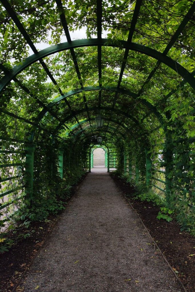 pergolas en fer forgé